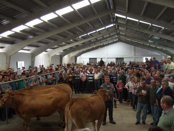 Feira Anual de Gando